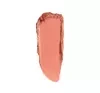 PASTEL PRO FASHION RÓŻ DO POLICZKÓW 42 ROSERY 3,6G