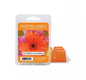 COUNTRY CANDLE WOSK ZAPACHOWY SUNSHINE & DAISIES 64G